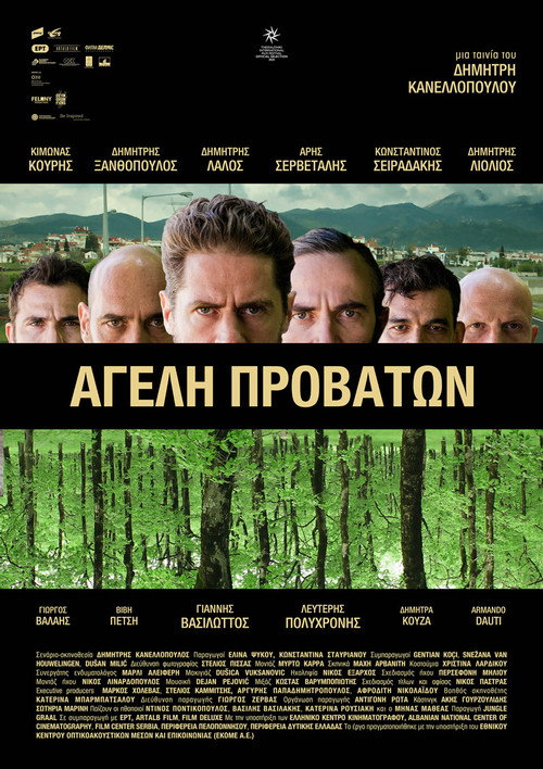 Movie poster for Pack of Sheep (2022)