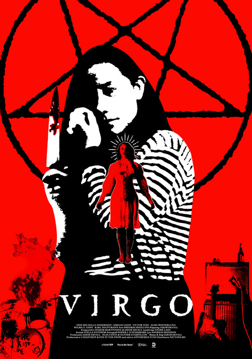 Movie poster for Virgo (2024)