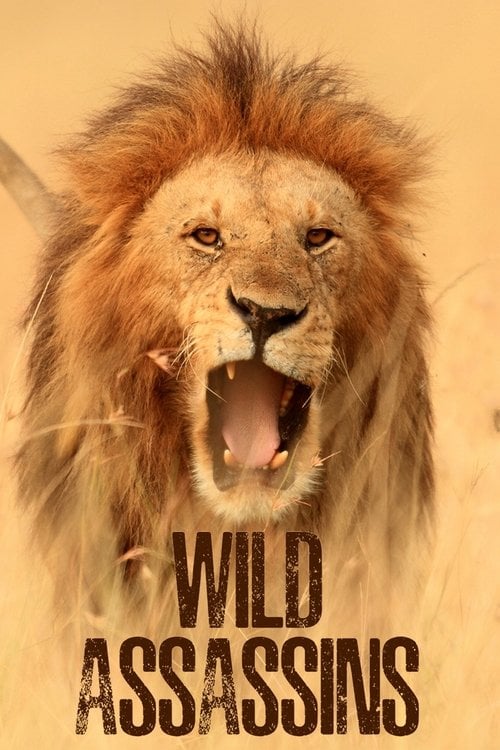 Series poster for Wild Assassins (2023)
