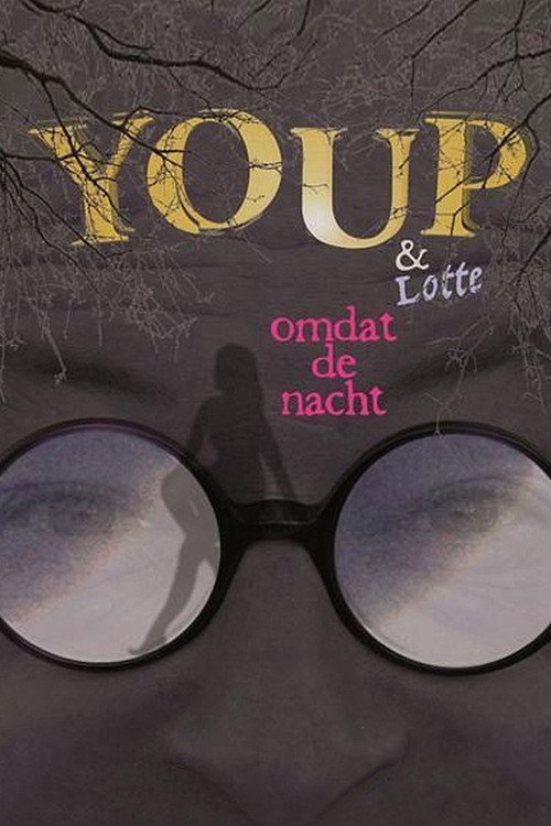 Movie poster for Youp van 't Hek: Omdat De Nacht (2011)