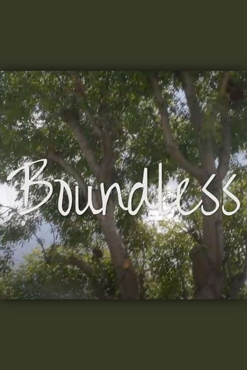 Movie poster for Boundless (2019)