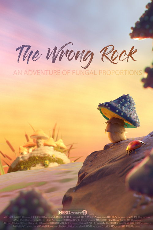 Movie poster for The Wrong Rock (2018)