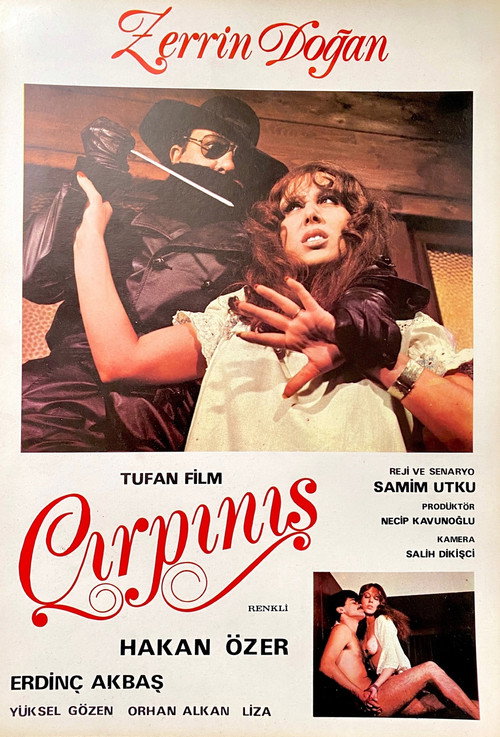 Movie poster for Çırpınış (1980)