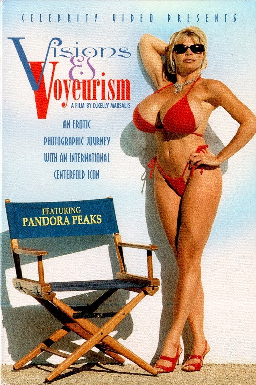 Movie poster for Visions and Voyeurism (1998)