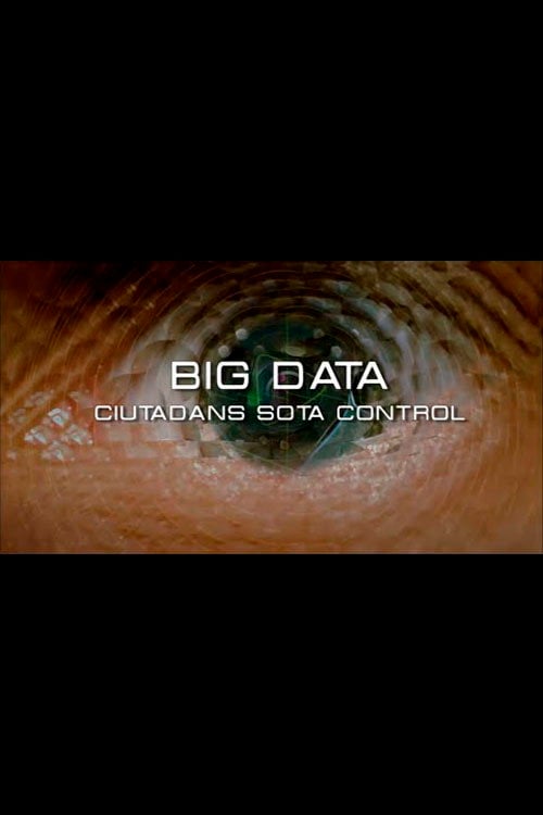 Movie poster for Big Data. Ciudadanos bajo control (2015)