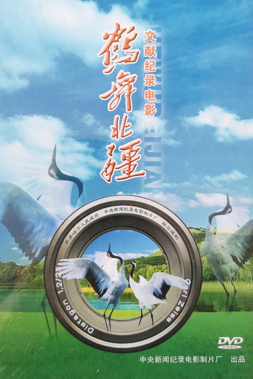 Movie poster for Crane City of the North (2008)