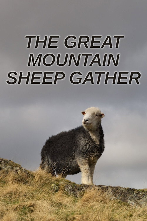 Movie poster for The Great Mountain Sheep Gather (2020)