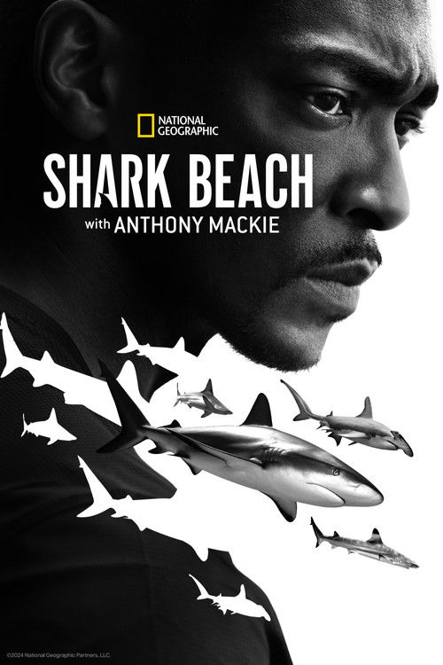 Movie poster for Shark Beach with Anthony Mackie (2024)