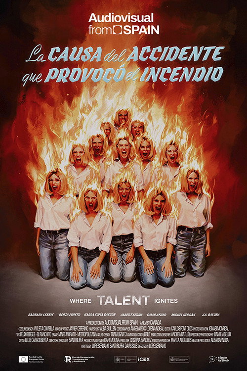 Movie poster for The Cause of The Accident That Started The Fire (2024)