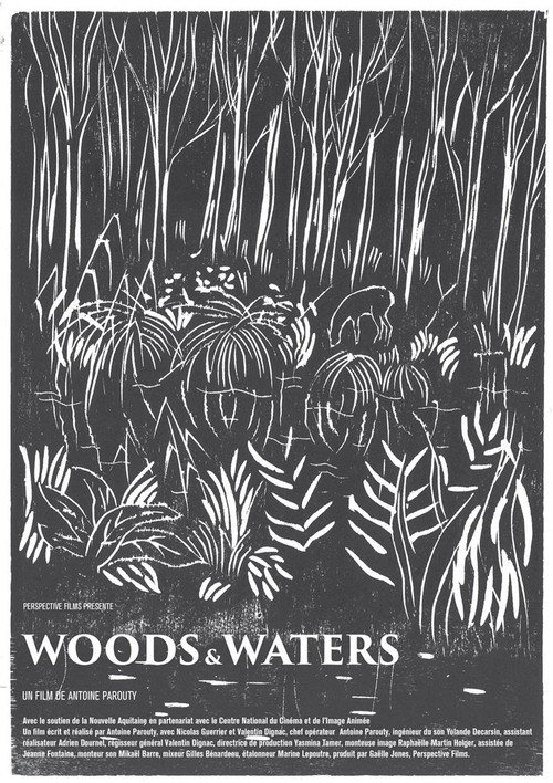 Movie poster for Woods and Waters (2020)