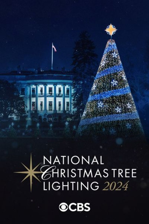Movie poster for National Christmas Tree Lighting (2024)