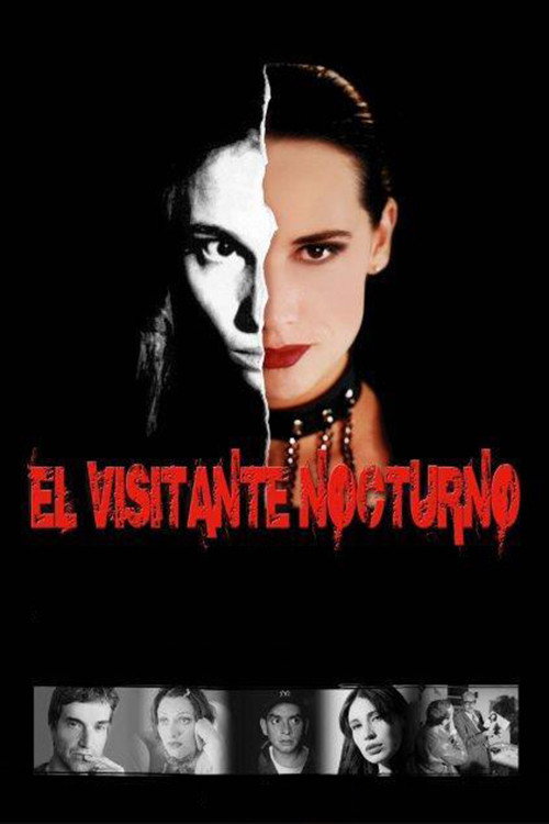 Movie poster for The Night Visitor (2009)