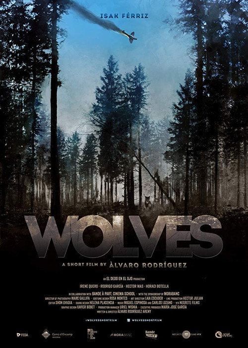 Movie poster for Wolves (2016)