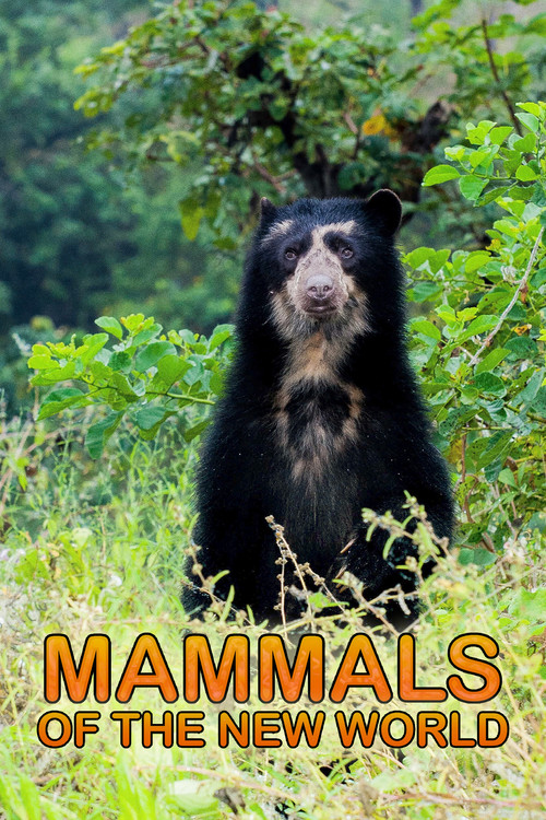 Movie poster for Mammals of the New World (2010)