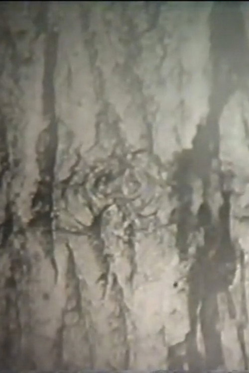 Movie poster for Ствол (1994)