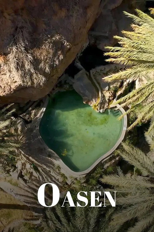 Series poster for Oasen (2025)