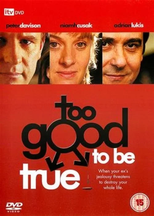 Movie poster for Too Good to Be True (2003)