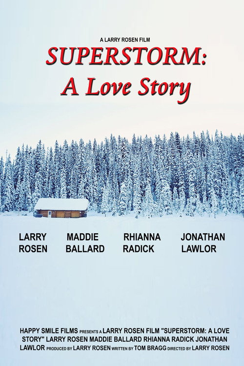 Movie poster for Superstorm: A Love Story (2019)