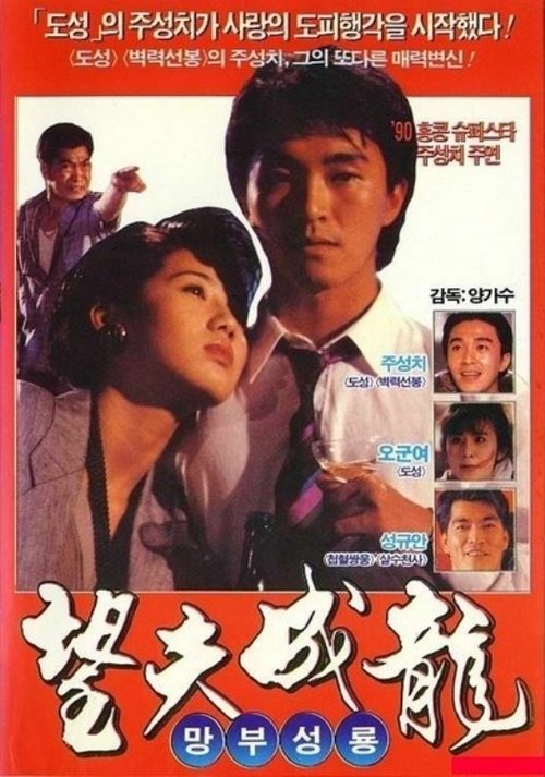 Movie poster for Love Is Love (1990)