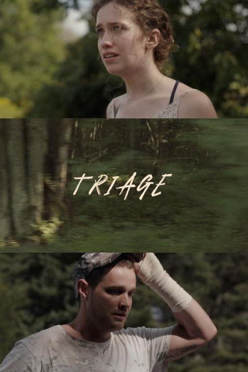 Movie poster for Triage (2024)