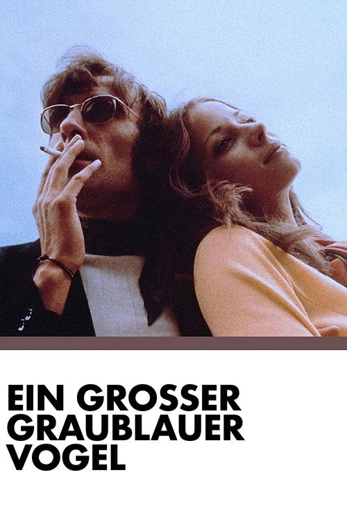 Movie poster for A Big Grey-Blue Bird (1971)