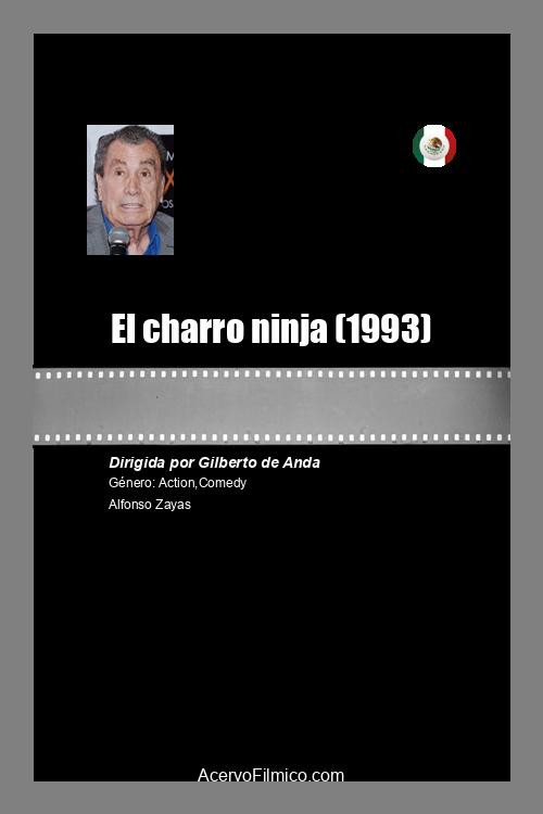 Movie poster for El charro ninja (1993)