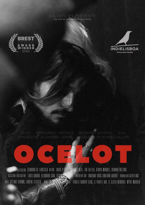 Movie poster for Ocelot (2022)