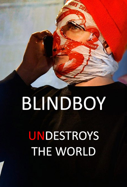 Series poster for Blindboy Undestroys the World (2019)