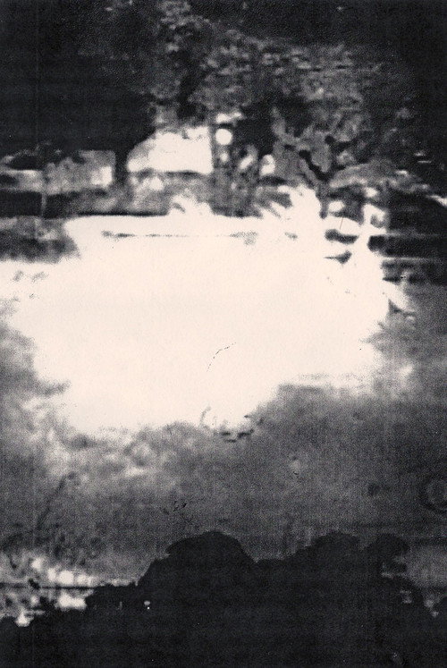 Movie poster for Coppicing (2009)