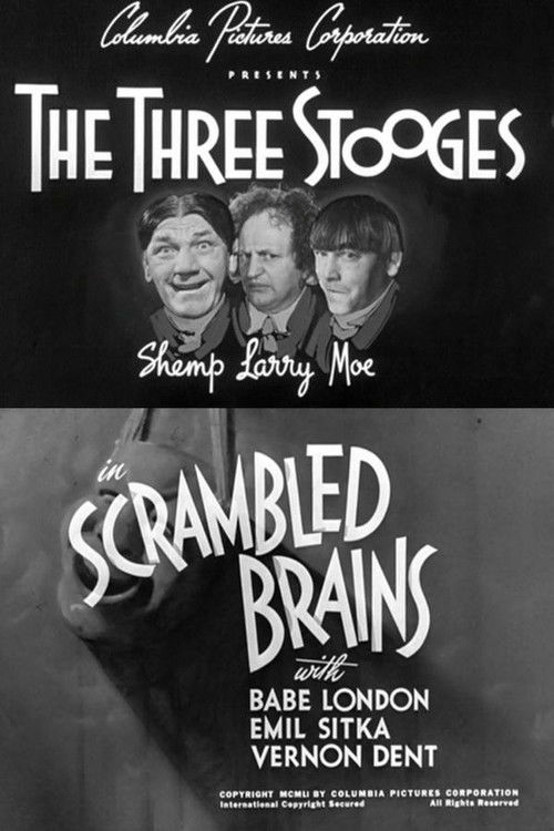 Movie poster for Scrambled Brains (1951)