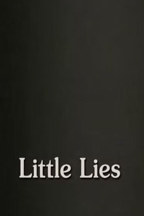 Movie poster for Little Lies (2013)