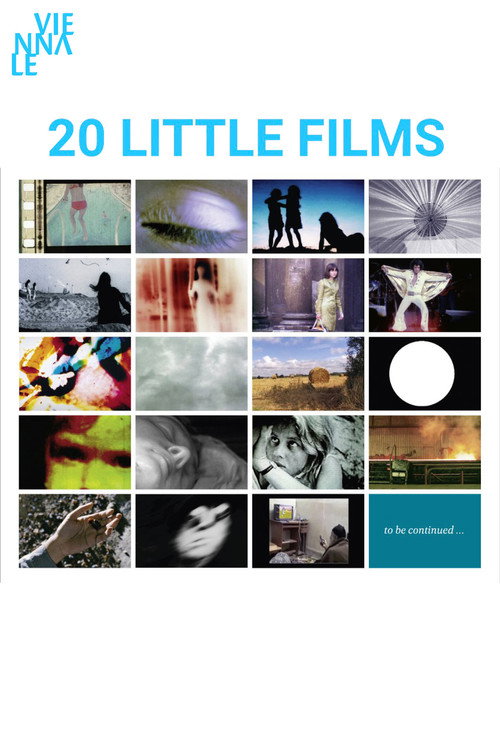 Movie poster for 20 Little Films (2012)