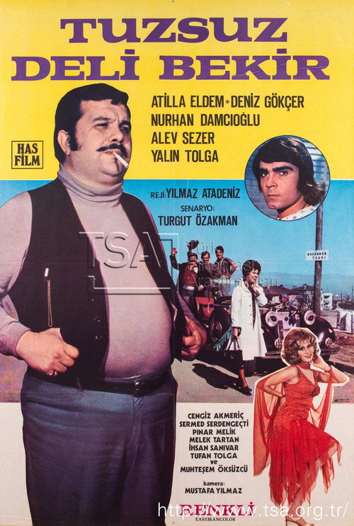 Movie poster for Tuzsuz Deli Bekir (1972)