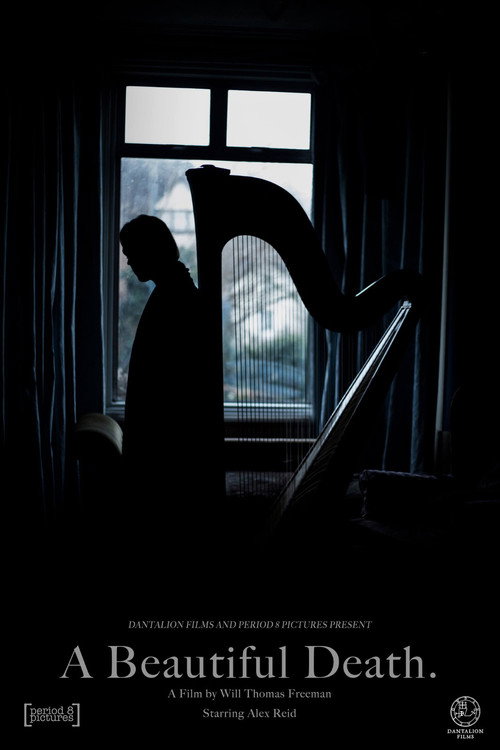Movie poster for A Beautiful Death (2018)