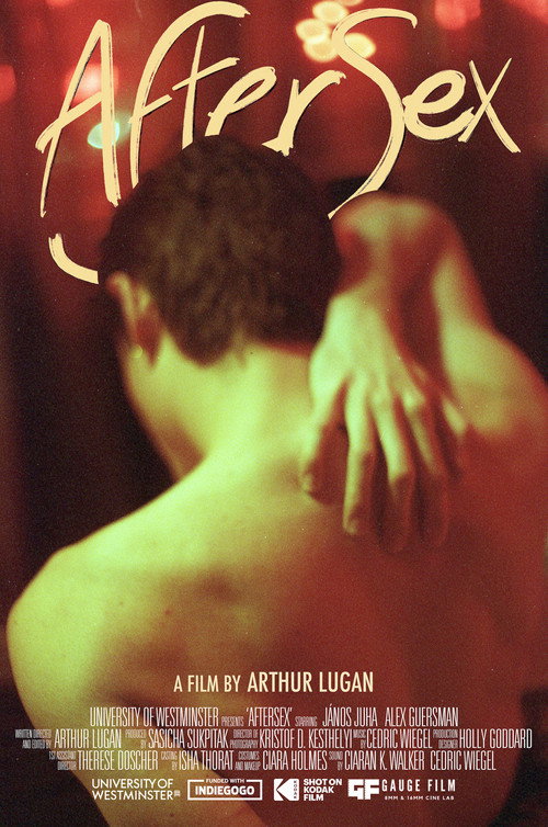 Movie poster for AfterSex (2024)
