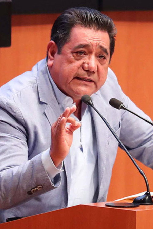Photo of Félix Salgado Macedonio, Acting