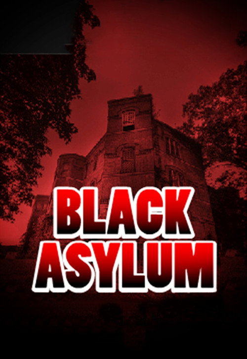 Movie poster for Black Asylum (2013)