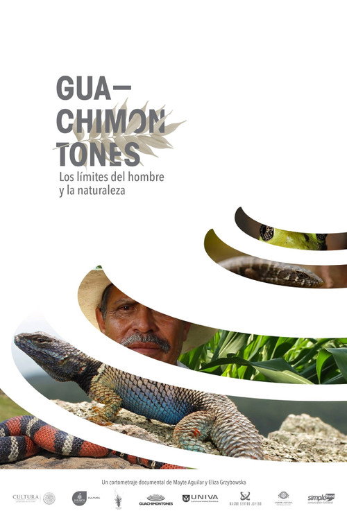 Movie poster for Guachimontones, los límites del hombre y la naturaleza. (2016)