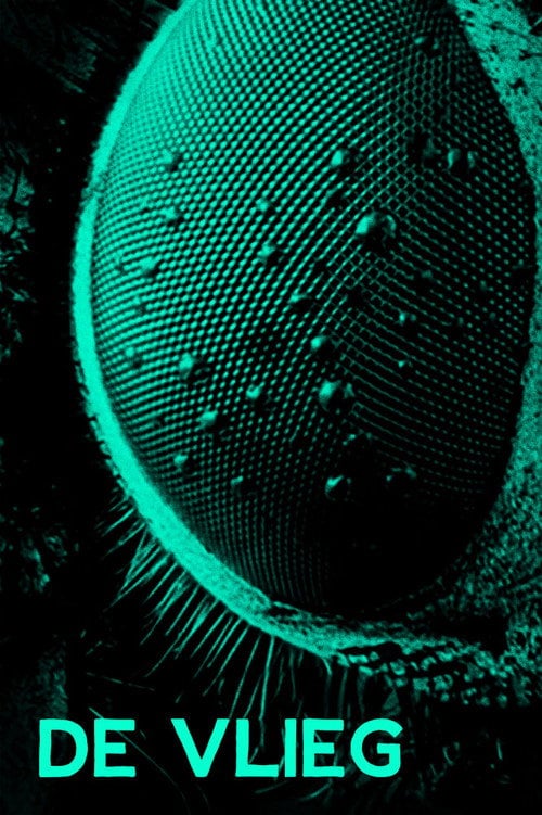 Movie poster for The Fly (1985)