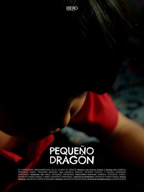 Movie poster for A Dragon's Flight