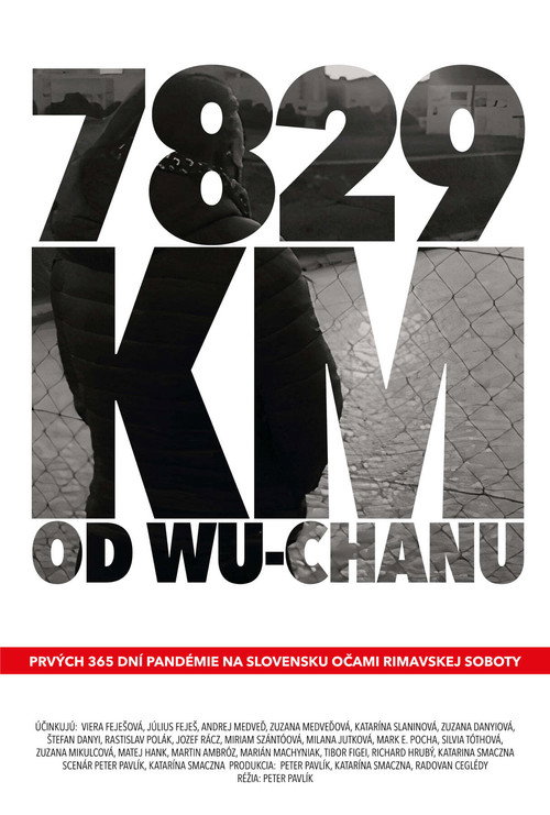 Movie poster for 7829 km od Wu-chanu (2021)