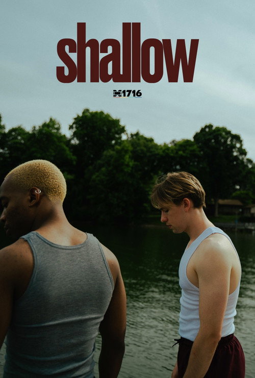 Movie poster for Shallow (2025)