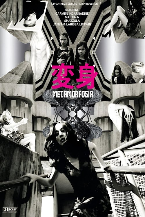 Movie poster for Metamorfosia (2014)