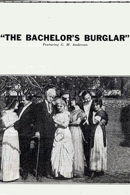 Movie poster for The Bachelor's Burglar (1915)