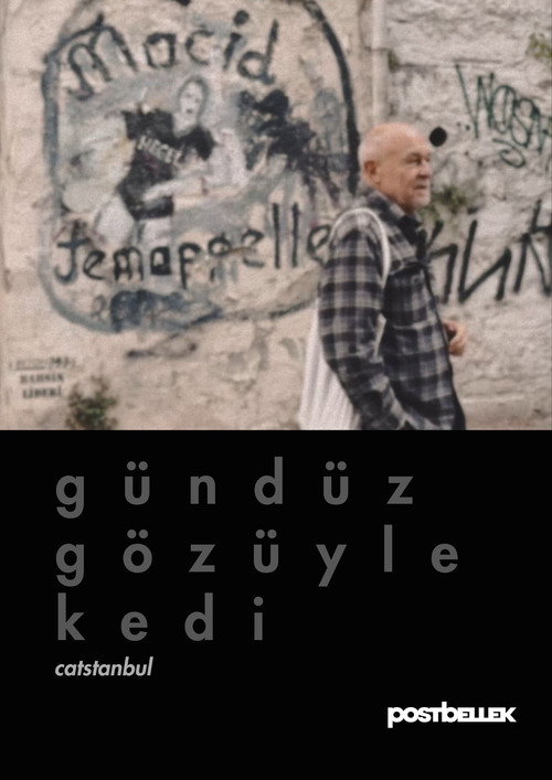 Movie poster for Catstanbul (2025)
