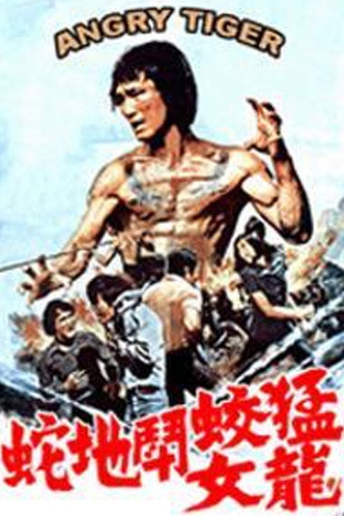 Movie poster for Angry Tiger (1973)