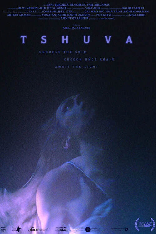 Movie poster for Tshuva (2024)