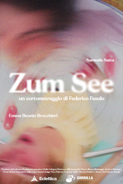 Movie poster for Zum See (2023)