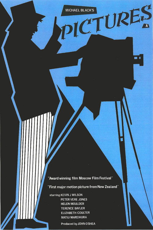 Movie poster for Pictures (1981)