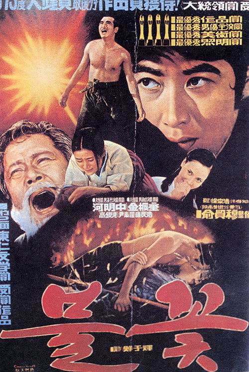 Movie poster for Flame (1975)